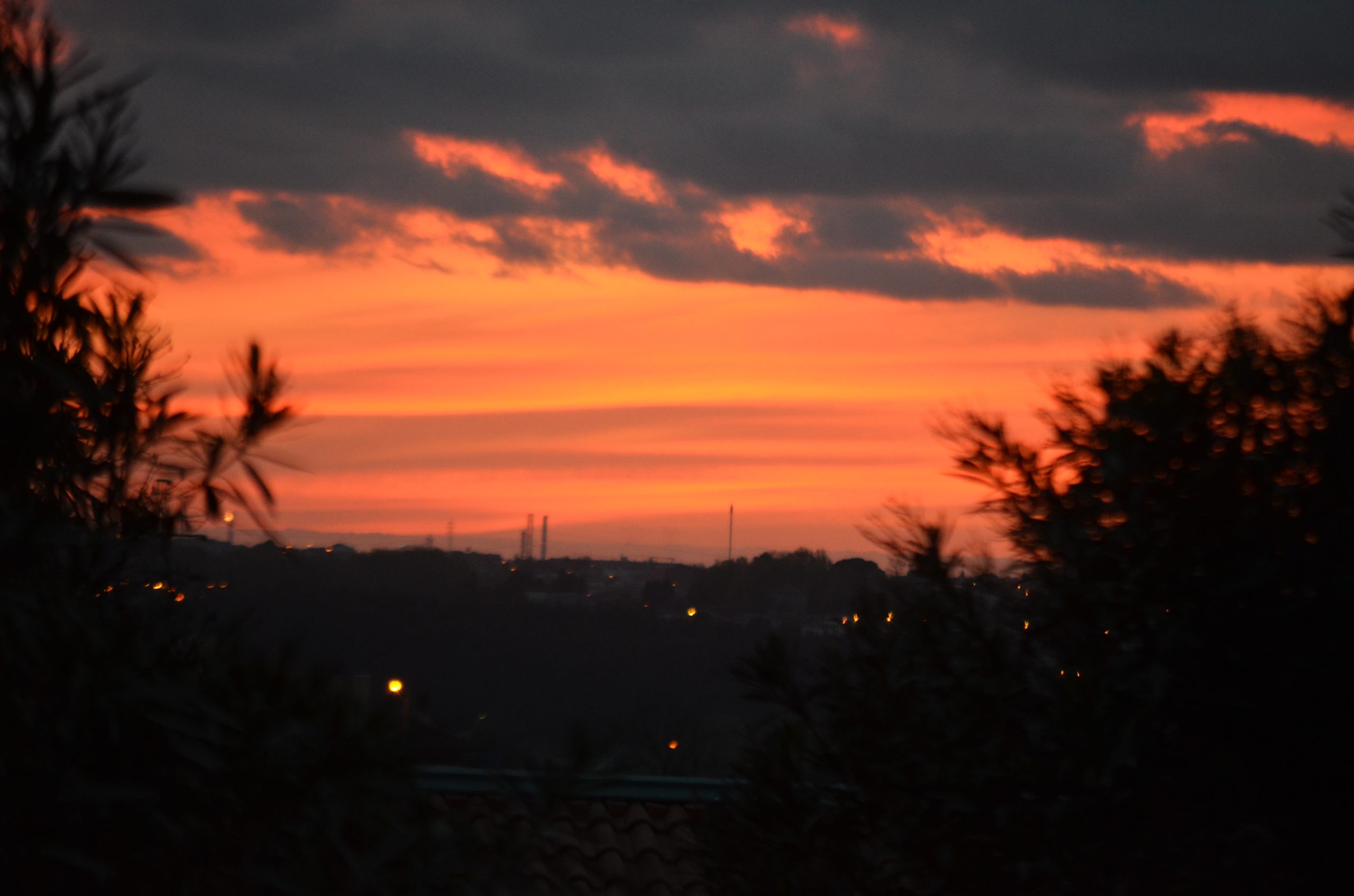 DSC_0010